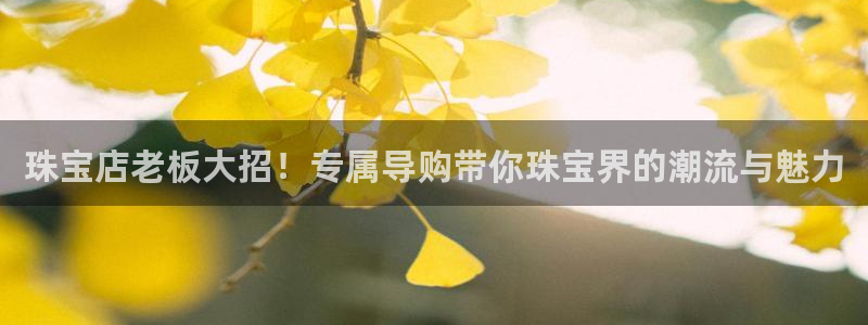 新宝5娱乐登陆：珠宝店老板大招！专属导购带你珠宝界的潮流与魅力