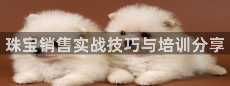 新宝5官方：珠宝销售实战技巧与培训分享