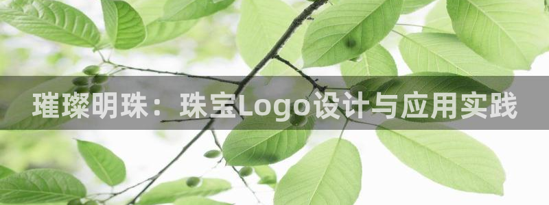 新宝5测速平台登录：璀璨明珠：珠宝Logo设计与应用实践