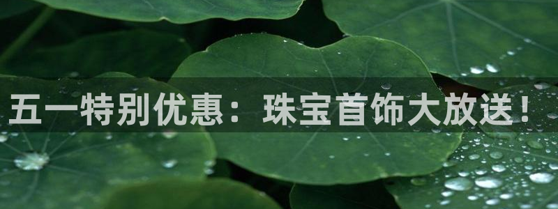 新宝b2O5O5O：五一特别优惠：珠宝首饰大放送！