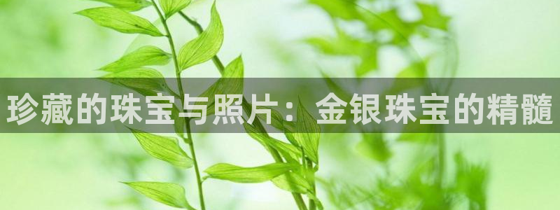 新宝5褚74OOO5：珍藏的珠宝与照片：金银珠宝的精髓