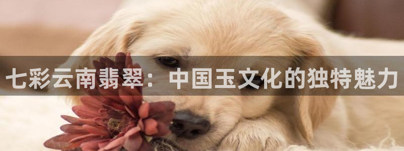 新宝5线路登录检测：七彩云南翡翠：中国玉文化的独特魅力