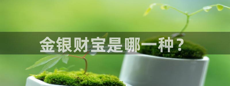 新宝3得74OO5：金银财宝是哪一种？