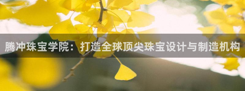 新宝rm5：腾冲珠宝学院：打造全球顶尖珠宝设计与制造机构