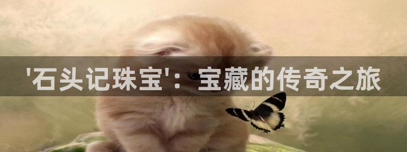 新宝5下载软件：\'石头记珠宝\'：宝藏的传奇之旅