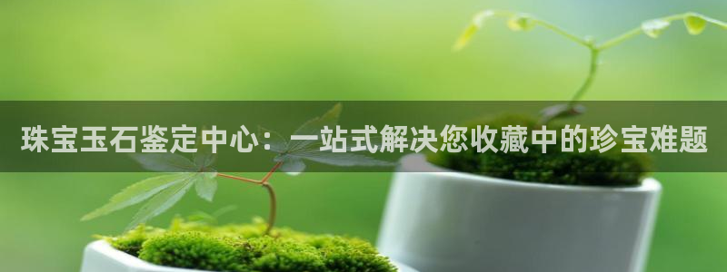 新宝5注册登录：珠宝玉石鉴定中心：一站式解决您收藏中的珍宝难题