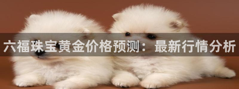 新5宝：六福珠宝黄金价格预测：最新行情分析