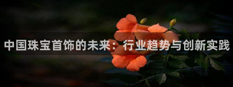 新宝5娱乐平台：中国珠宝首饰的未来：行业趋势与创新实践