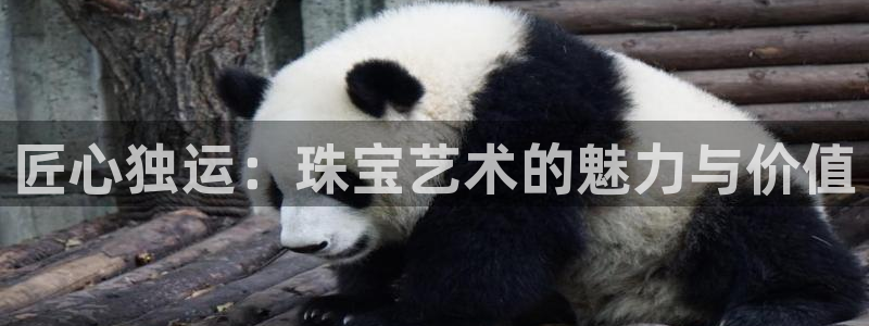 新宝5娱乐主管：匠心独运：珠宝艺术的魅力与价值