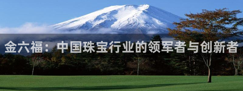 新宝6霸哥5：金六福：中国珠宝行业的领军者与创新者