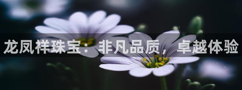 新宝xb5：龙凤祥珠宝：非凡品质，卓越体验