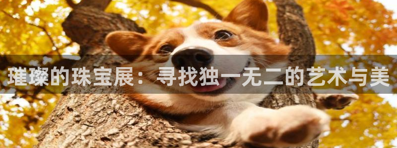 新宝股东瞧听2 5 5：璀璨的珠宝展：寻找独一无二的艺术与美