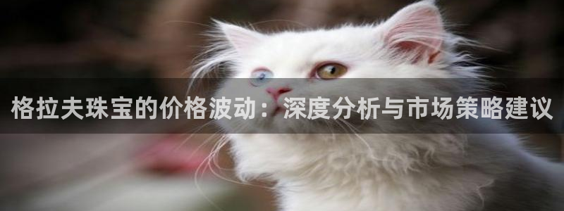 5新宝：格拉夫珠宝的价格波动：深度分析与市场策略建议