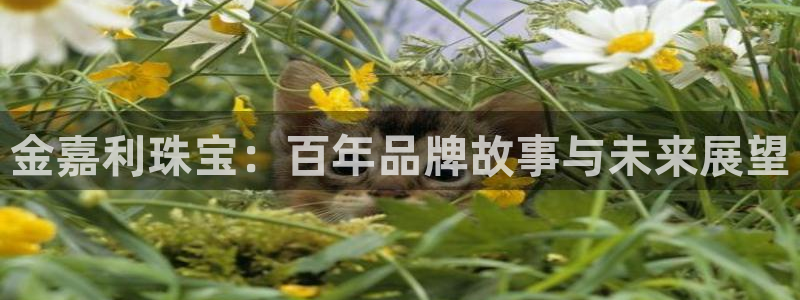 新宝5公司：金嘉利珠宝：百年品牌故事与未来展望