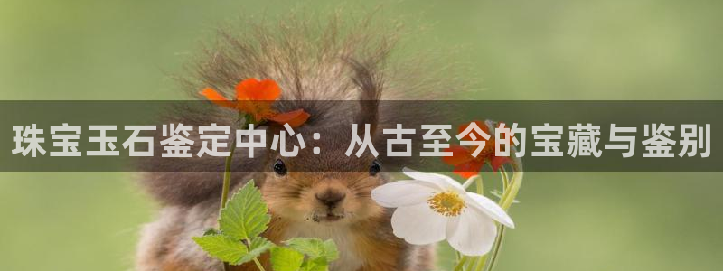 新宝5娱乐招商：珠宝玉石鉴定中心：从古至今的宝藏与鉴别