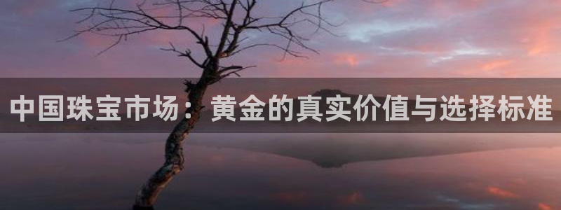 新宝5吕74OOO5：中国珠宝市场：黄金的真实价值与选择标准