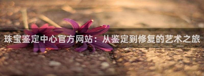 新宝5娱乐家：珠宝鉴定中心官方网站：从鉴定到修复的艺术之旅