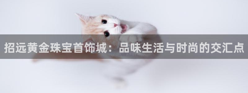 新宝5怎么下载到桌面：招远黄金珠宝首饰城：品味生活与时尚的交汇点