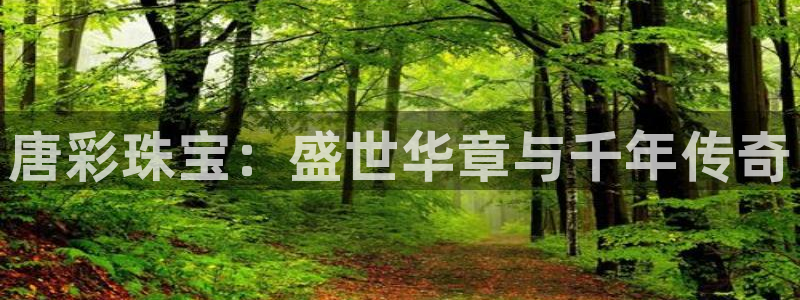 新宝5代理：唐彩珠宝：盛世华章与千年传奇