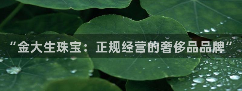 新宝5开好：“金大生珠宝：正规经营的奢侈品品牌”