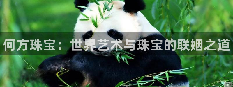 新宝5寻33 300球：何方珠宝：世界艺术与珠宝的联姻之道