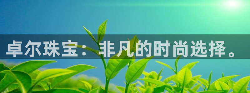 新宝5官方：卓尔珠宝：非凡的时尚选择。