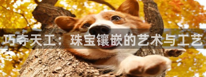 新宝5登陆：巧夺天工：珠宝镶嵌的艺术与工艺