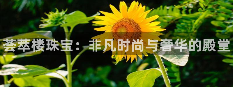 新宝5彩票平台登陆：荟萃楼珠宝：非凡时尚与奢华的殿堂