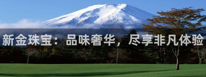 新宝6霸哥5：新金珠宝：品味奢华，尽享非凡体验
