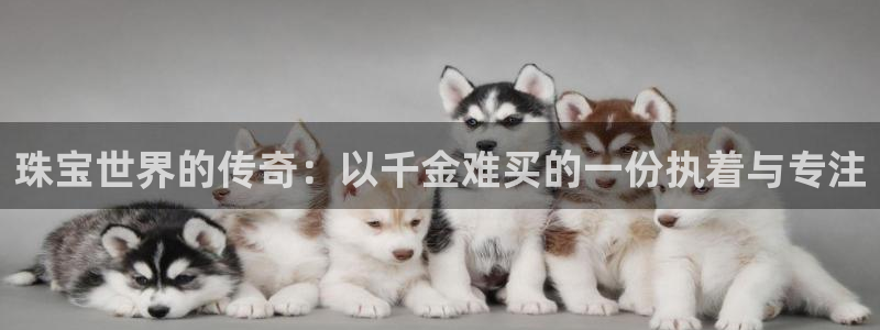 新5宝：珠宝世界的传奇：以千金难买的一份执着与专注