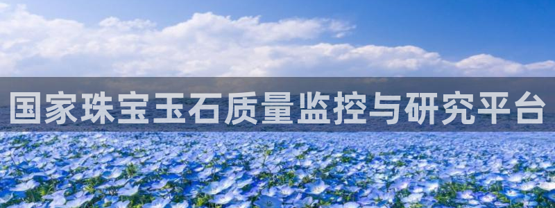 新宝5_测：国家珠宝玉石质量监控与研究平台