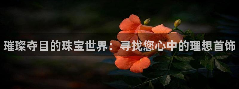 新宝5官方网站：璀璨夺目的珠宝世界：寻找您心中的理想首饰