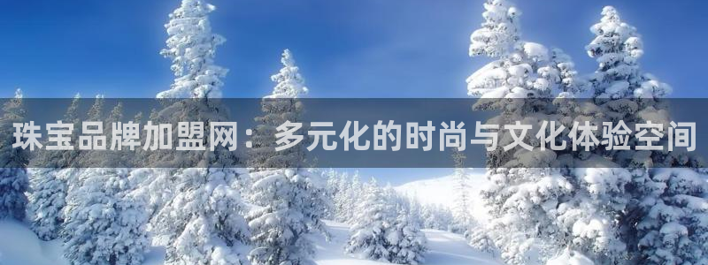 新宝集团新宝5：珠宝品牌加盟网：多元化的时尚与文化体验空间