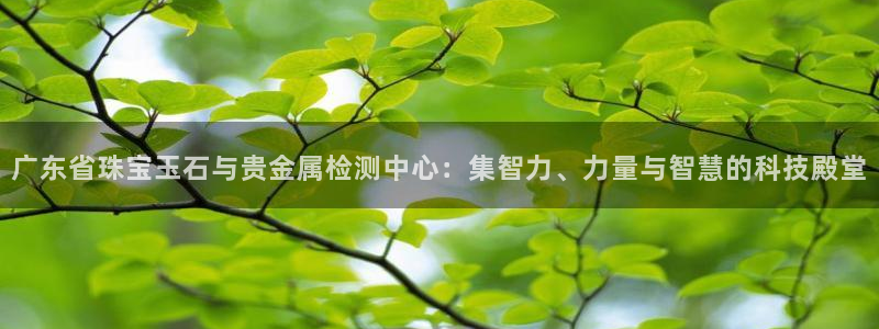 新宝5招商部：广东省珠宝玉石与贵金属检测中心：集智力、力量与智慧的科技殿堂