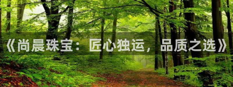 新宝5测试：《尚晨珠宝：匠心独运，品质之选》
